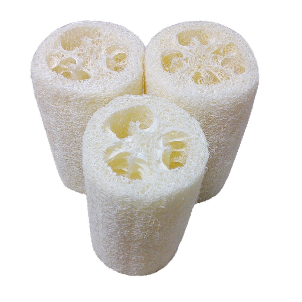 Natural Loofahs