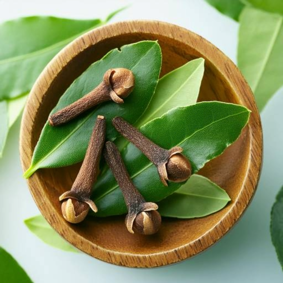Clove Leaf Oil Essential Trading Post Oils – Essential Trading Post, Inc.